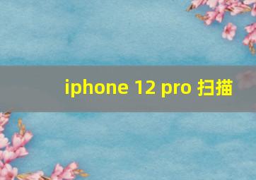 iphone 12 pro 扫描